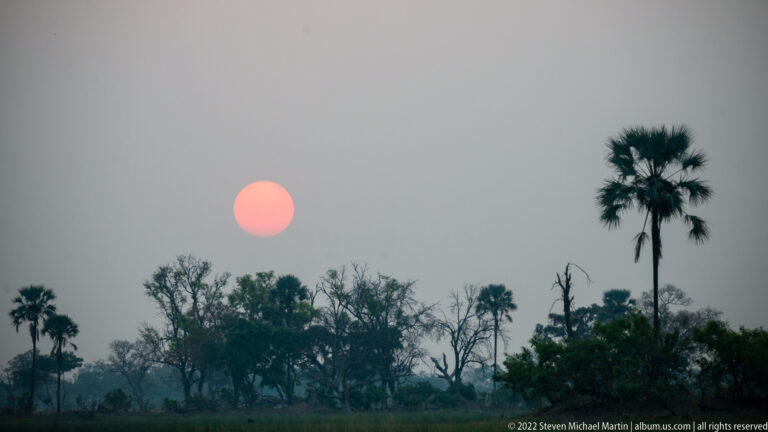 Orange sun in a hazy sky above silhouetted floodplain trees and a tall palm.