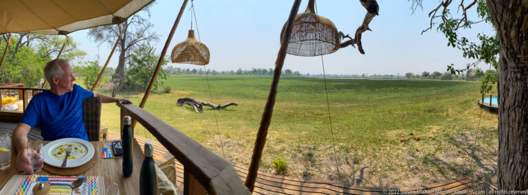 Safari guest looking from a dining deck toward a large dark ground bird crossing the green floodplain.