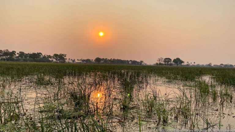 Orange sunset reflected in shallow wetland water among reeds, with distant trees silhouetted on the horizon.