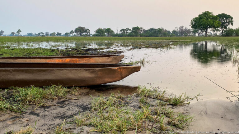 Two narrow mokoro canoes resting on a muddy bank beside shallow reed-filled wetland water.