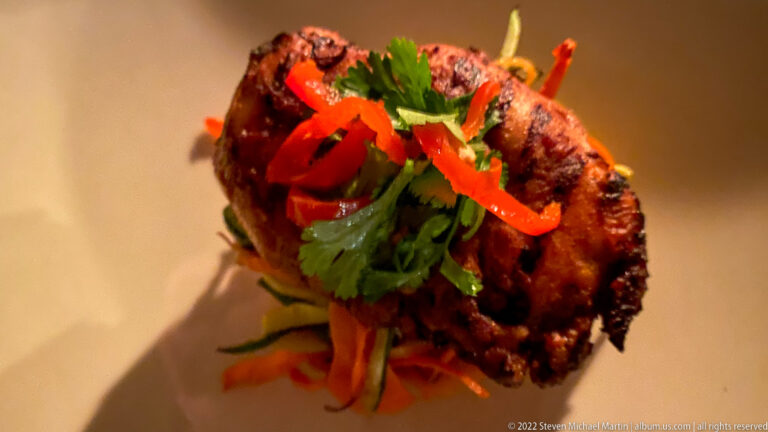 Grilled meat entrée topped with red pepper strips and fresh herbs over shredded vegetables.