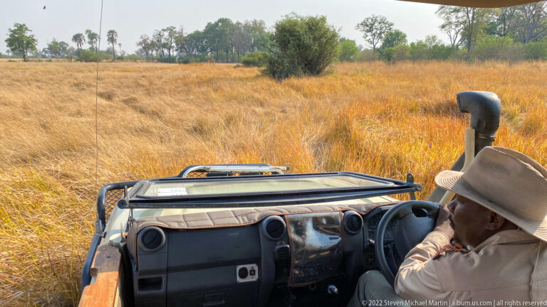 View from an open safari vehicle with guide at the wheel, looking across tall golden grass and scattered trees.