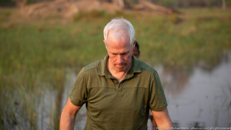 Safari guest walking through shallow wetland water and grass in warm evening light.