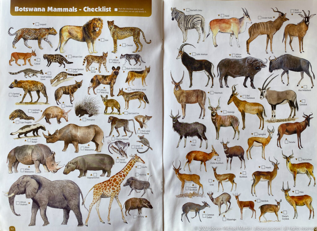 Illustrated two-page mammal checklist with antelope, carnivores, elephant, giraffe, rhinoceros, buffalo, zebra, and other African mammals.