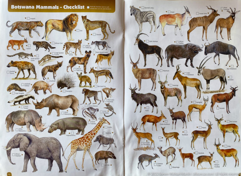 Illustrated two-page mammal checklist with antelope, carnivores, elephant, giraffe, rhinoceros, buffalo, zebra, and other African mammals.