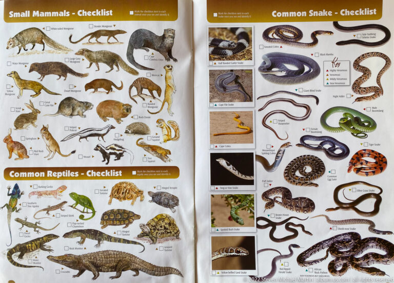 Illustrated reptile and snake checklist with tortoises, lizards, crocodilians, and many snake species arranged beside labels and checkboxes.