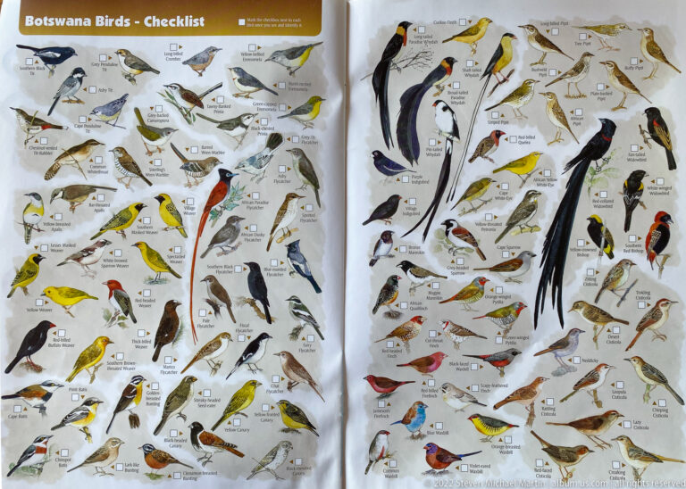 Two-page illustrated bird checklist with dozens of small and medium-sized African birds in varied plumage colors beside labels and checkboxes.
