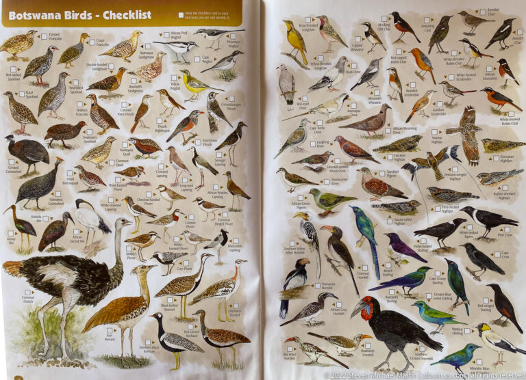 Bird checklist with waders, ground birds, cuckoos, corvids, and colorful woodland species arranged beside labels and checkboxes.