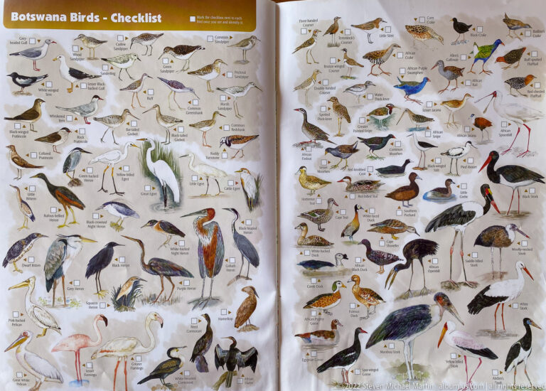 Illustrated waterbird checklist with herons, storks, ibises, flamingos, ducks, geese, shorebirds, and other wetland birds.