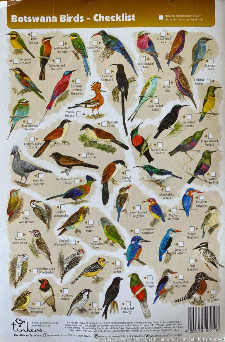 Illustrated checklist of colorful Botswana birds including rollers, kingfishers, bee-eaters, hornbills, and other distinctive species.