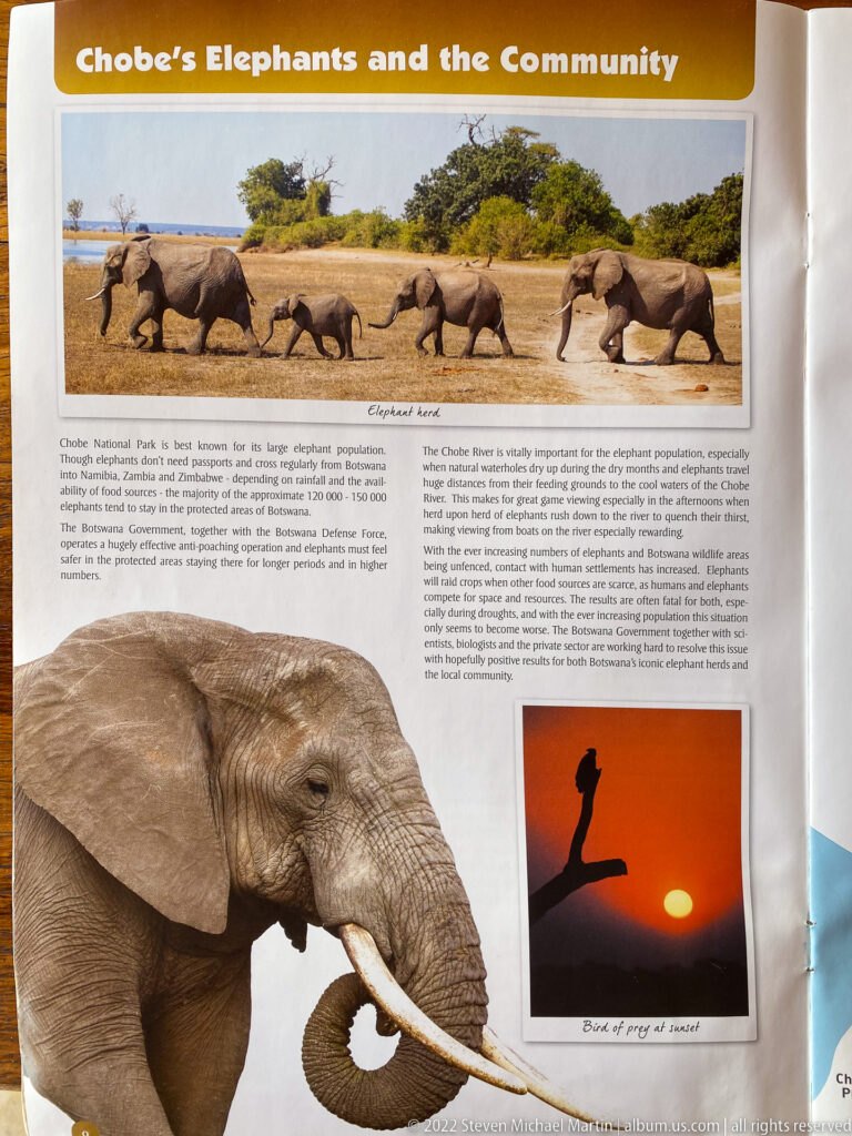 Guide page titled Chobe’s Elephants and the Community with elephant herd, large tusked elephant, and sunset silhouette.