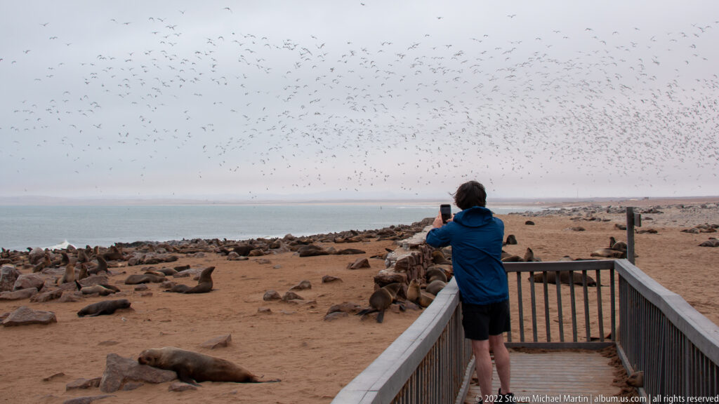 Visitor in a blue jacket standing on the wooden Cape Cross boardwalk, photographing a large Cape fur seal colony and distant seabirds with a mobile phone.