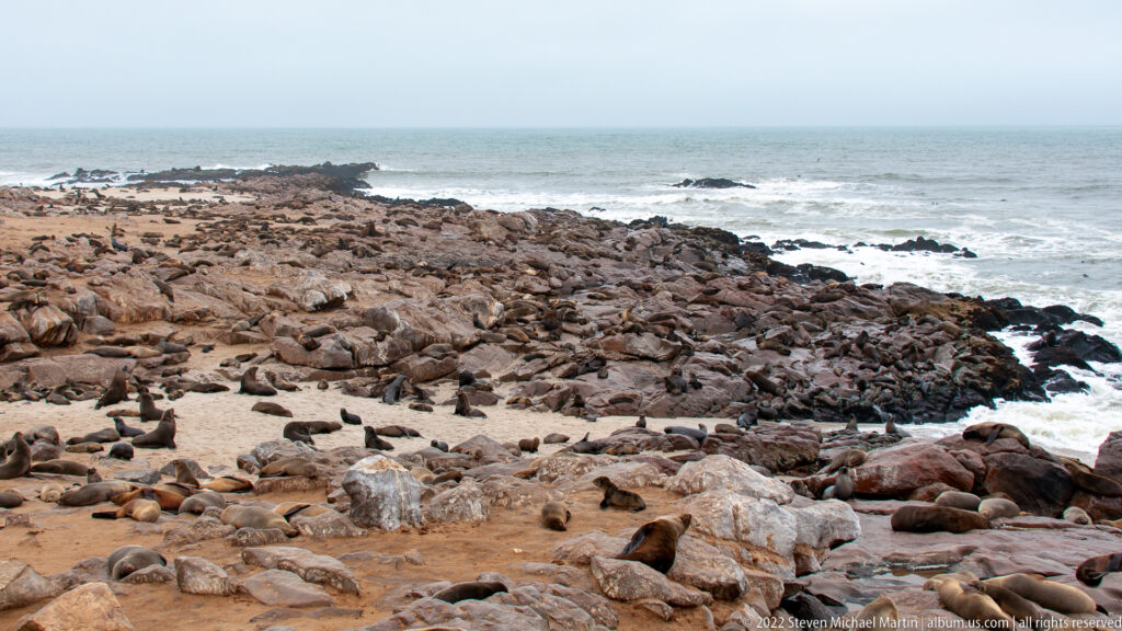 Panoramic view of hundreds of Cape fur seals densely packed across pale rocks and sand on a rocky Atlantic headland at Cape Cross, Namibia.
