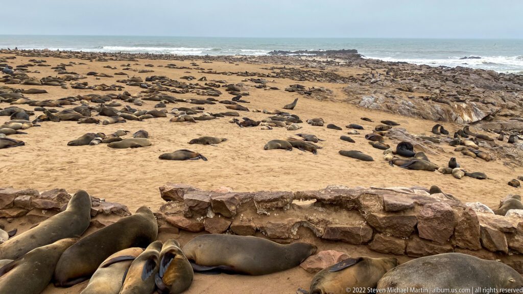 Elevated view from behind a low stone wall of the Cape Cross Cape fur seal colony spreading across the sandy shore toward the rocky Atlantic Ocean.