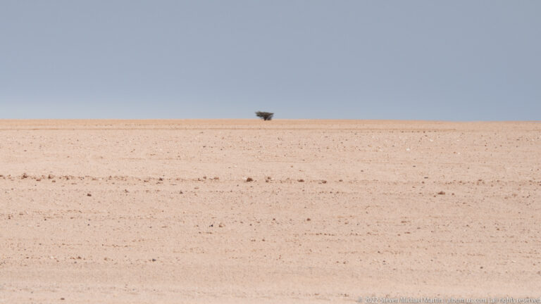 Single small dark shrub or tree on the horizon above a broad, nearly barren pale desert plain.
