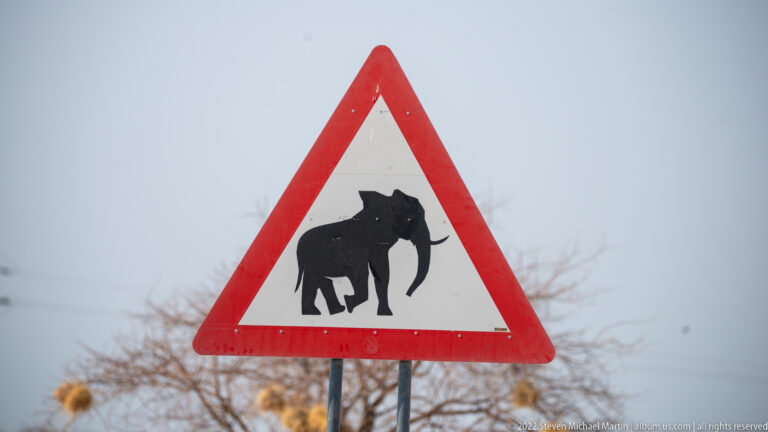 Red-bordered triangular road warning sign with a black elephant silhouette, backed by dry roadside trees.