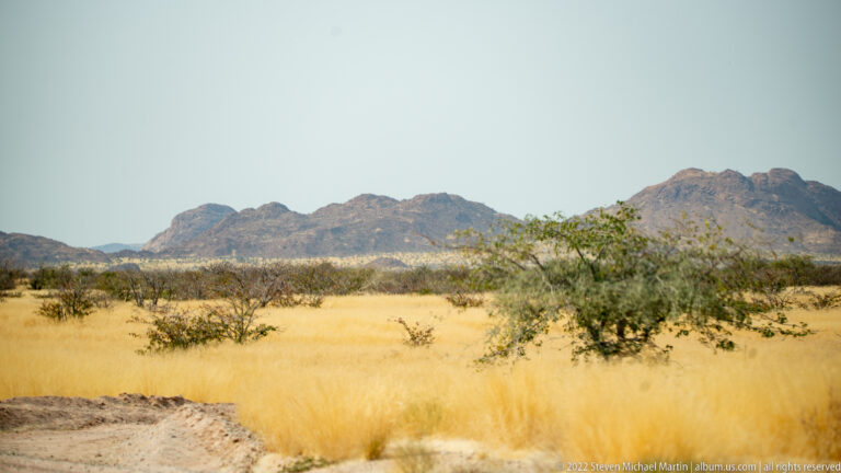 Dark rocky mountain ridges behind golden dry grassland with scattered thorny green shrubs.