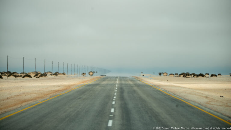 Straight paved road entering dense coastal haze, with utility poles and scattered dark animals on the pale desert shoulders.