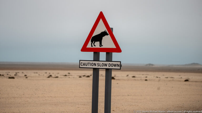 Triangular warning sign with a black rhinoceros silhouette above a CAUTION SLOW DOWN panel in open desert.