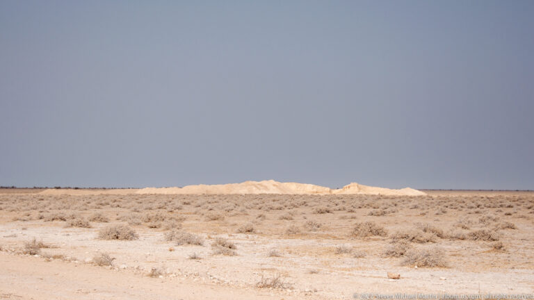 Pale Etosha Pan margin with sparse scrub and low white mineral ridges beneath a wide blue-gray sky.