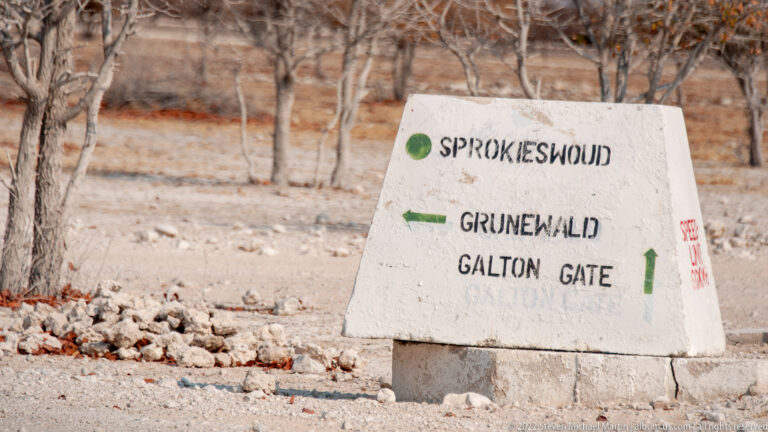 Concrete roadside marker labeled Sprokieswoud, Grunewald, and Galton Gate with green arrows in dry woodland.