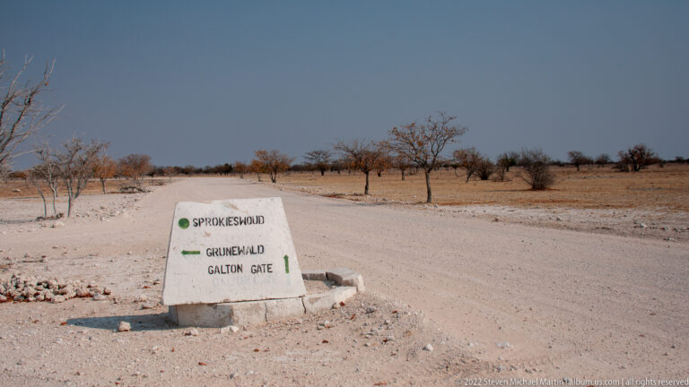 Directional marker for Sprokieswoud, Grunewald, and Galton Gate beside a pale gravel road in dry woodland.