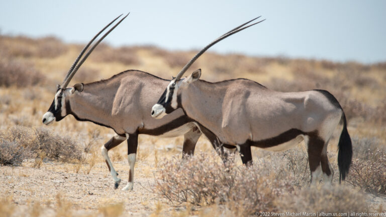 Etosha Pan