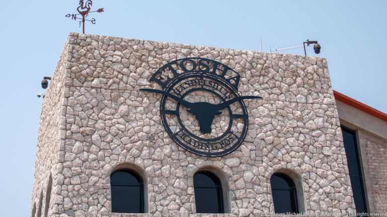 Circular Etosha buffalo-head emblem mounted high on a pale stone facade above three arched windows.