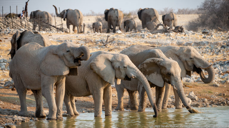 Africa
