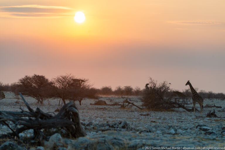 Orange sunset over the rocky Etosha plain with a giraffe silhouetted near the horizon.