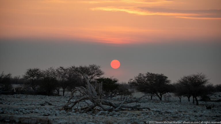 Red-orange sun setting above dark trees, deadwood, and pale rocky ground at Okaukuejo.