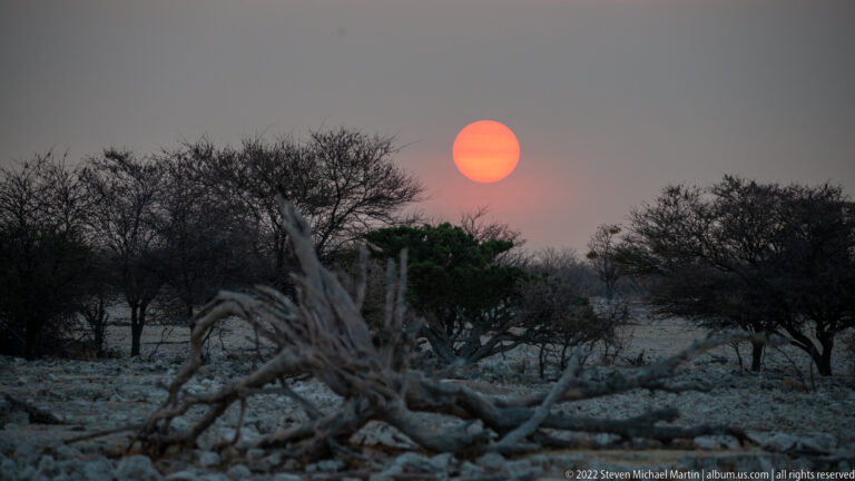 Coral sun setting behind thorn trees with a large fallen trunk silhouetted across the rocky foreground.