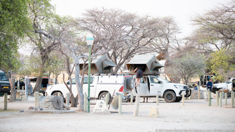 Safari vehicles with rooftop tents parked among trees and campsites on pale sandy ground at Okaukuejo.