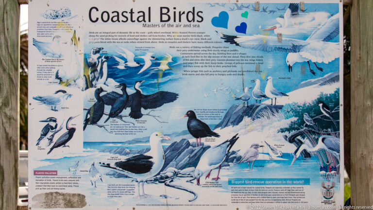 Large illustrated “Coastal Birds” panel showing many seabirds and shorebirds with explanatory text.