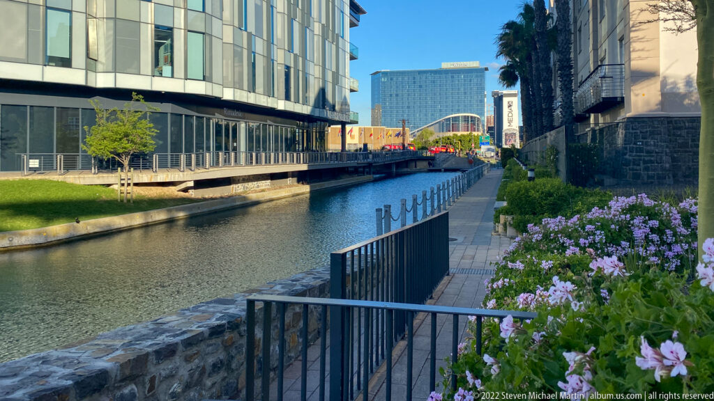 Purple flowers beside a paved canal path, with modern waterfront buildings and distant city structures beyond.