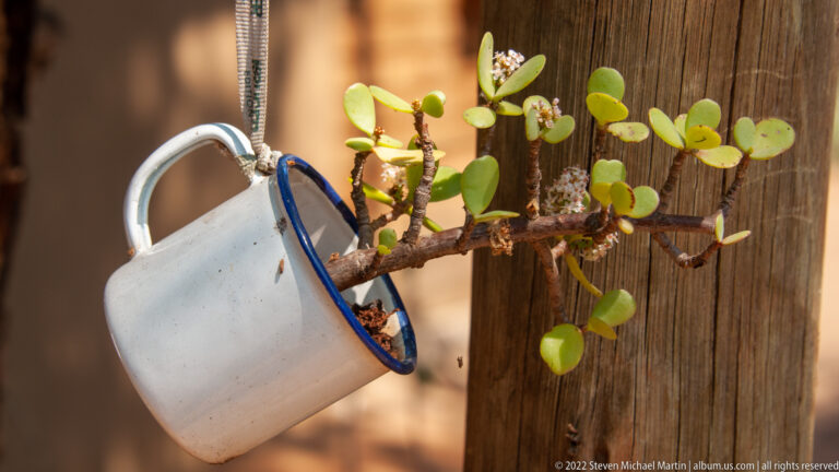 White enamel mug with blue rim hanging from a wooden post and holding a small succulent plant.