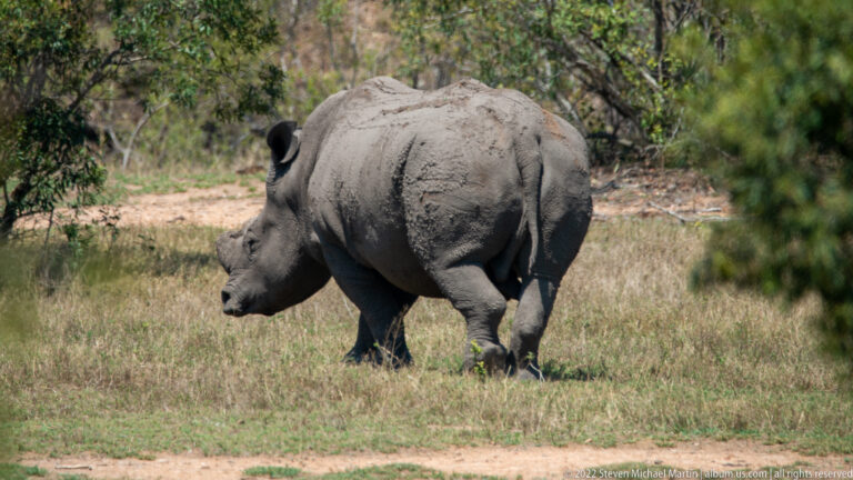 Kruger National Park – Crocodile Bridge