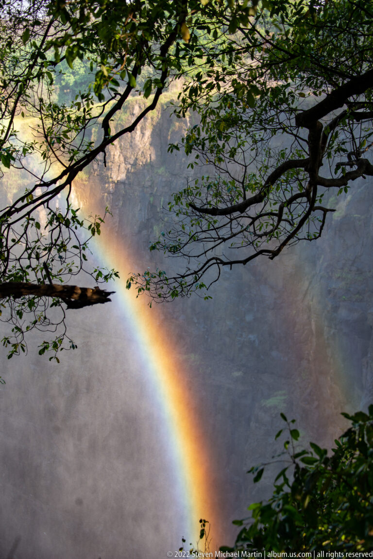 Vivid diagonal rainbow in dense waterfall mist, framed above and below by dark leafy branches.