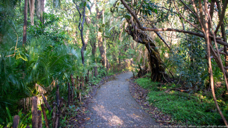 Curving paved path through dense green forest with palms, vines, and mature trees near Victoria Falls.