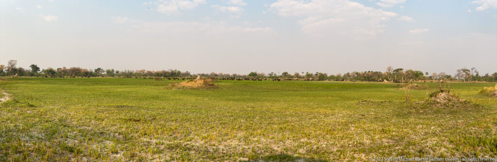 Wide green floodplain under a pale blue sky with distant woodland, scattered dry mounds, and low wetland vegetation.