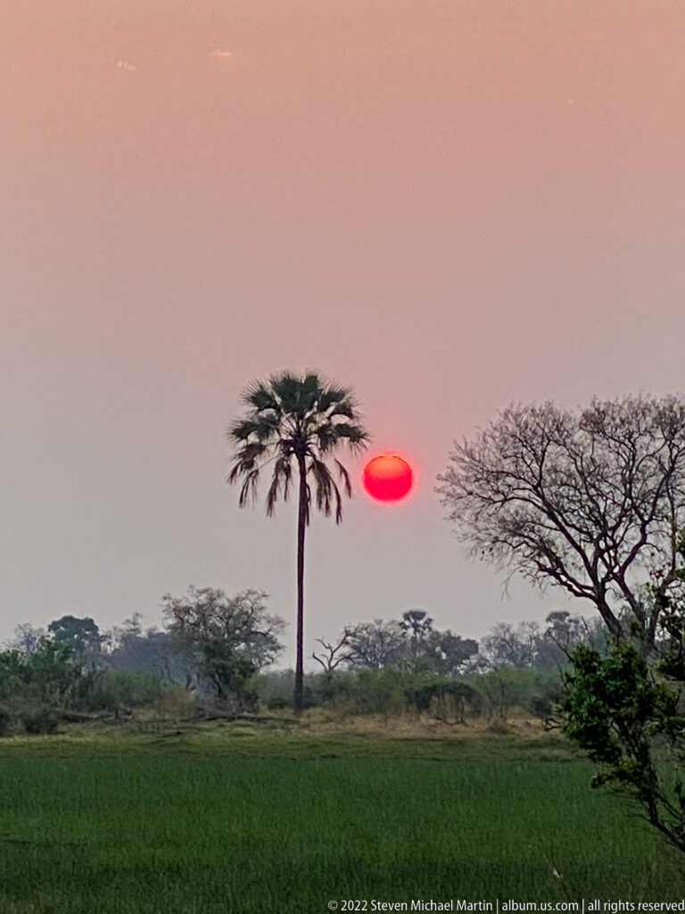 Red sun setting over a green floodplain between a tall palm and a broad leafless tree under a hazy pink sky.