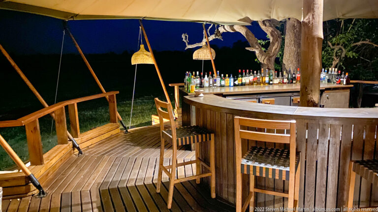 Curved wooden safari-camp bar at night with bottles, woven lamps, canvas canopy, and a large tree trunk.