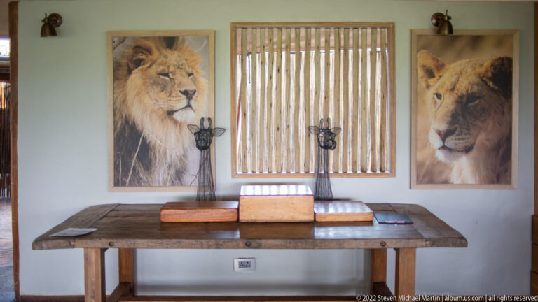 Wooden table beneath two large lion portraits and a narrow slatted window in a safari lodge interior.