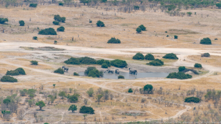 Aerial view of African elephants around a small waterhole amid dry woodland, tracks, and scattered green trees.