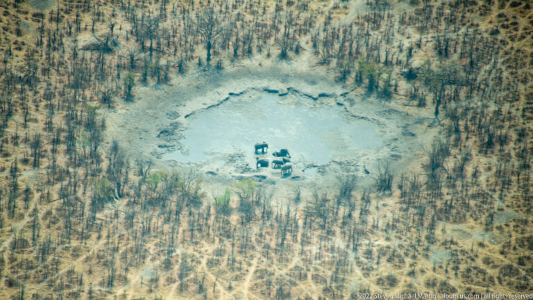 Aerial view of a compact elephant herd gathered at a small water source in a broad pale clearing.