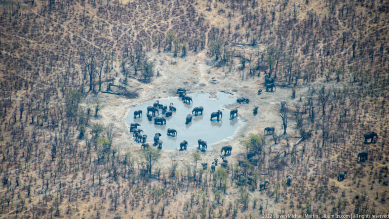 Aerial view of a large African elephant herd clustered in a pale waterhole clearing and approaching through surrounding woodland.