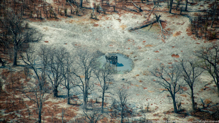 Two African elephants stand at a small dark pool surrounded by pale soil and leafless dry-season woodland.