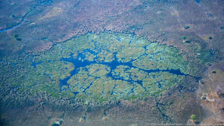 Aerial view of irregular blue pools and channels enclosed by dense green marsh within a drier Okavango floodplain.