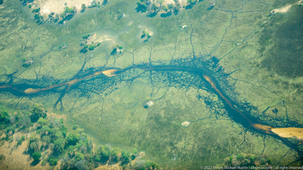 Aerial view of a dark branching channel network crossing green floodplain grassland with pale sand bars.