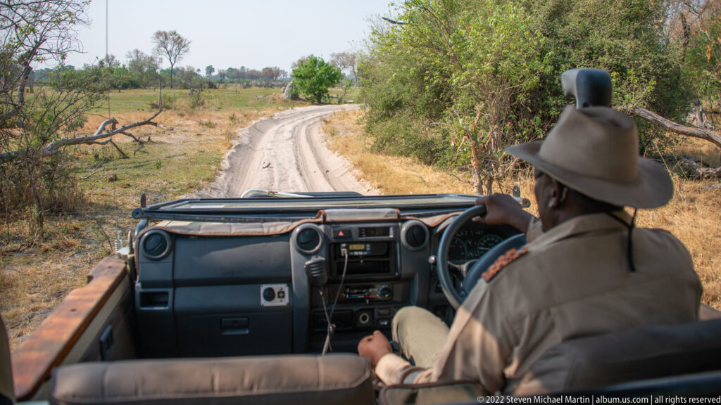 Safari guide driving an open vehicle along a narrow sandy track through dry woodland in the Okavango Delta.